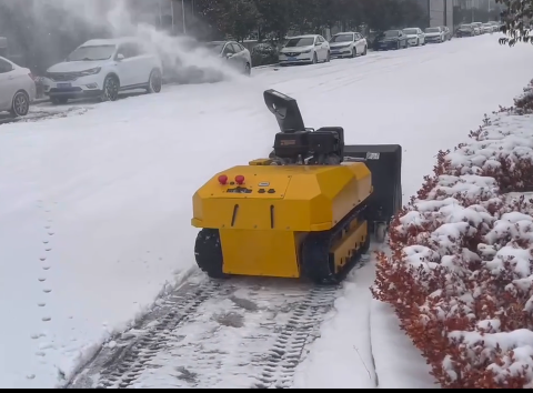 หุ่นยนต์กวาดหิมะแบบมีล้อและแบบ - Robot Track บทวิจารณ์และราคา